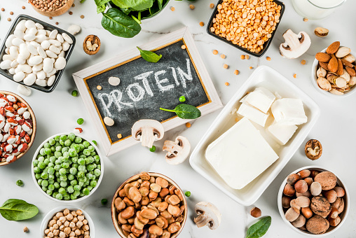 protein kalitesi