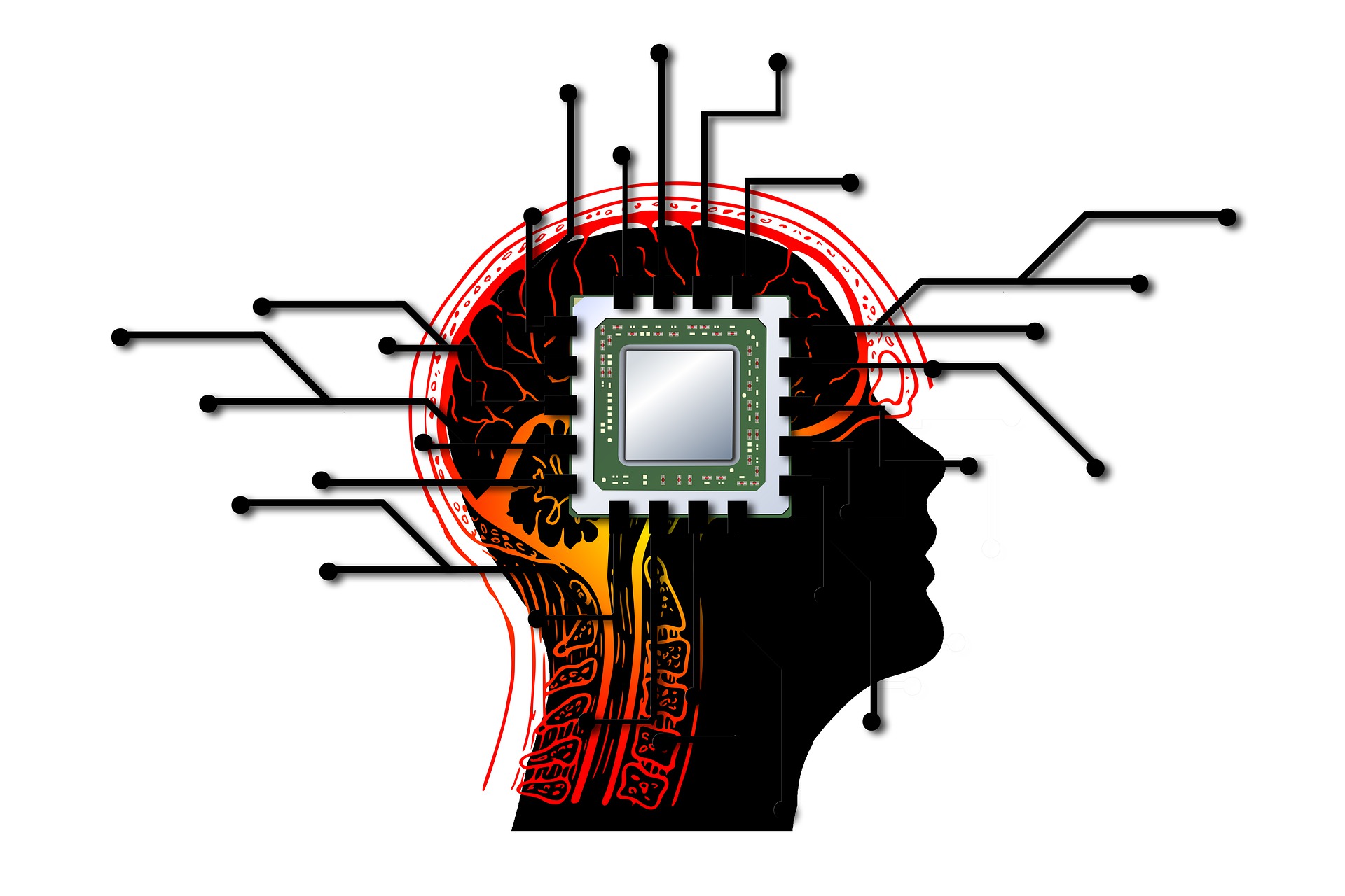 Cpu